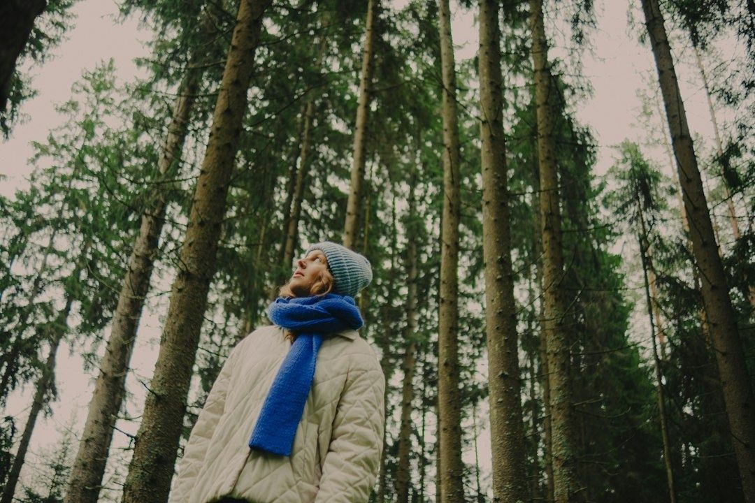 Person i varm klädsel promenerar bland höga granar i skogen